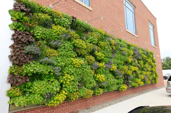 Вертикальное озеленение: как нерудные материалы превращают стены в сады