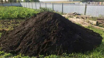 Как отличить качественный плодородный грунт от подделки? Инструкция для дачников и строителей